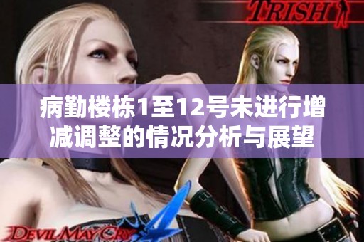 病勤楼栋1至12号未进行增减调整的情况分析与展望