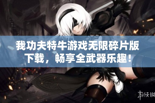 我功夫特牛游戏无限碎片版下载，畅享全武器乐趣！