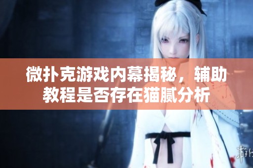 微扑克游戏内幕揭秘，辅助教程是否存在猫腻分析