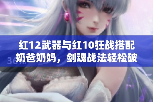 红12武器与红10狂战搭配奶爸奶妈，剑魂战法轻松破敌