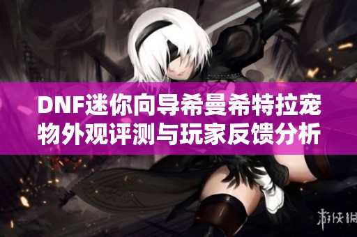DNF迷你向导希曼希特拉宠物外观评测与玩家反馈分析