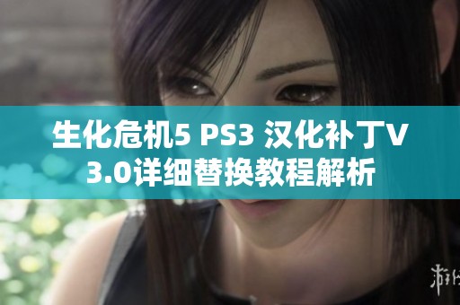 生化危机5 PS3 汉化补丁V3.0详细替换教程解析