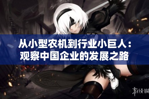从小型农机到行业小巨人：观察中国企业的发展之路