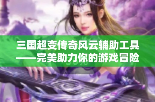 三国超变传奇风云辅助工具——完美助力你的游戏冒险之旅