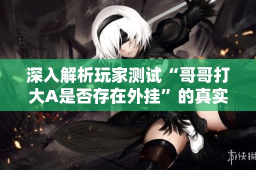深入解析玩家测试“哥哥打大A是否存在外挂”的真实情况与教程