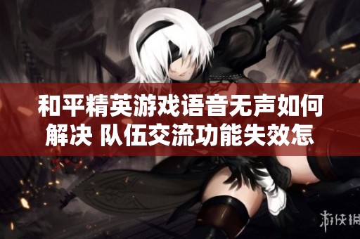 和平精英游戏语音无声如何解决 队伍交流功能失效怎么办