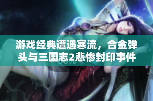游戏经典遭遇寒流，合金弹头与三国志2悲惨封印事件揭秘
