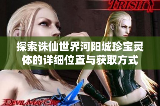 探索诛仙世界河阳城珍宝灵体的详细位置与获取方式