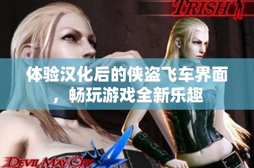 体验汉化后的侠盗飞车界面，畅玩游戏全新乐趣