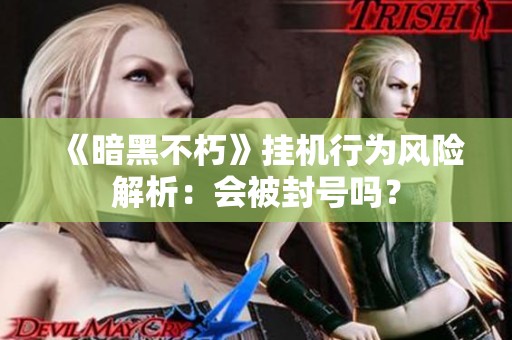 《暗黑不朽》挂机行为风险解析：会被封号吗？