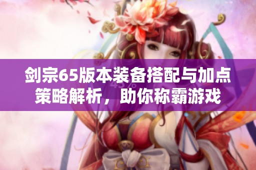 剑宗65版本装备搭配与加点策略解析，助你称霸游戏