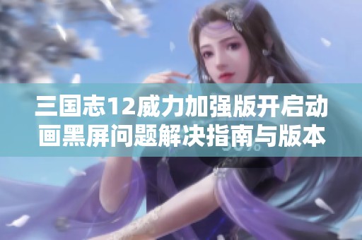 三国志12威力加强版开启动画黑屏问题解决指南与版本比较