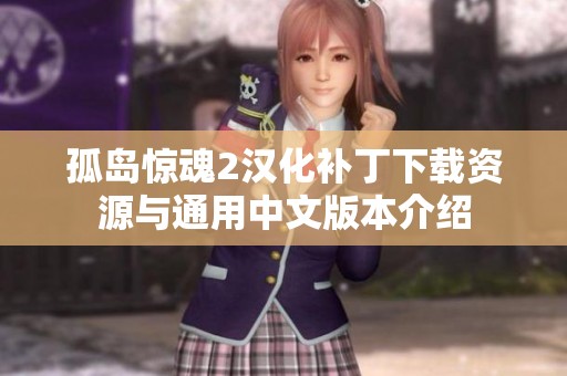 孤岛惊魂2汉化补丁下载资源与通用中文版本介绍