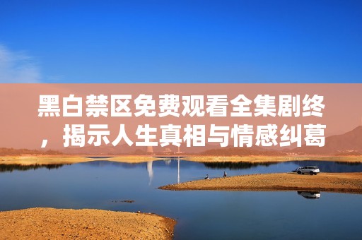 黑白禁区免费观看全集剧终，揭示人生真相与情感纠葛