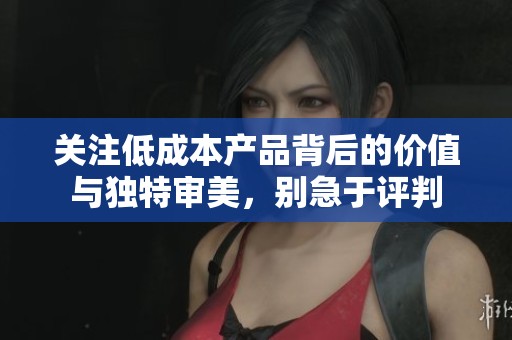 关注低成本产品背后的价值与独特审美，别急于评判