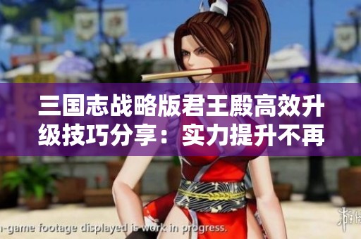 三国志战略版君王殿高效升级技巧分享：实力提升不再延迟
